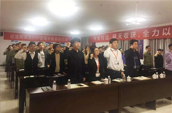 歐宜風開啟信息化建設