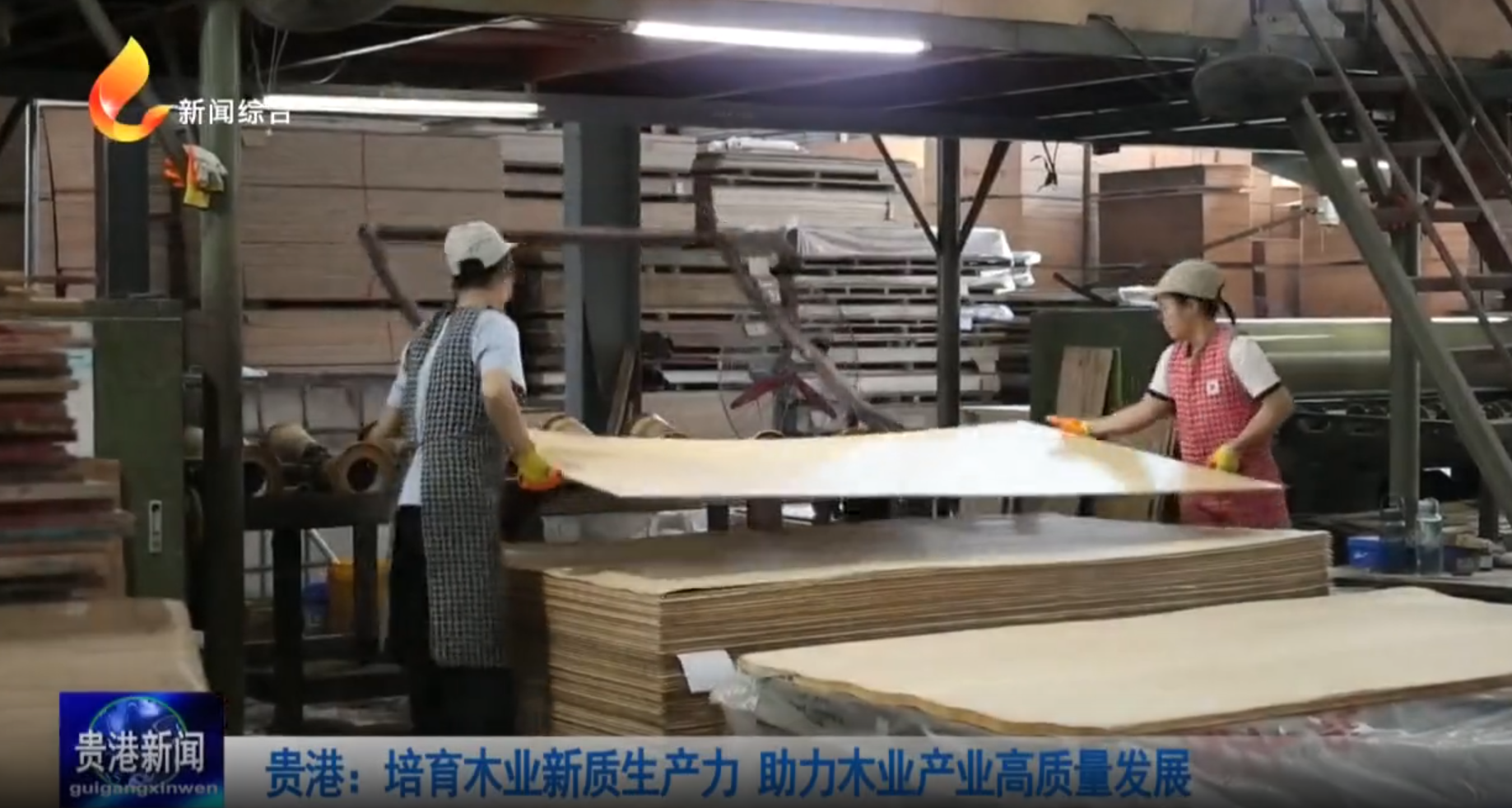廣西貴港：加快把木材加工培育成千億級產業集群