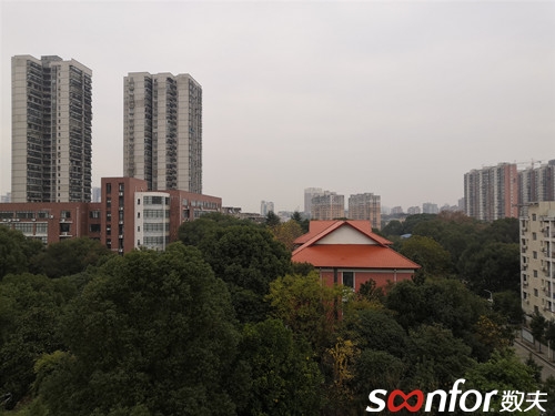 學(xué)校一角 學(xué)校一角