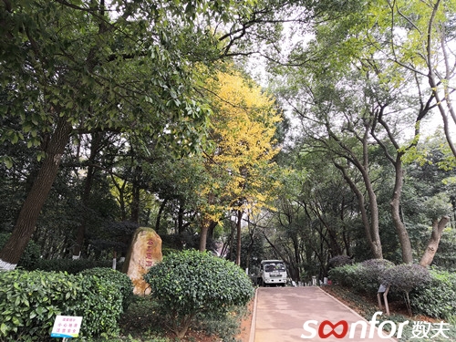 學(xué)校一角 學(xué)校一角