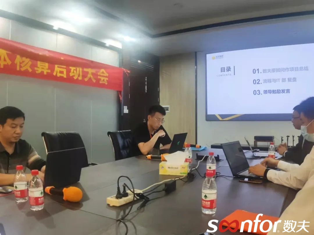 數(shù)夫廖顧問做項目講解