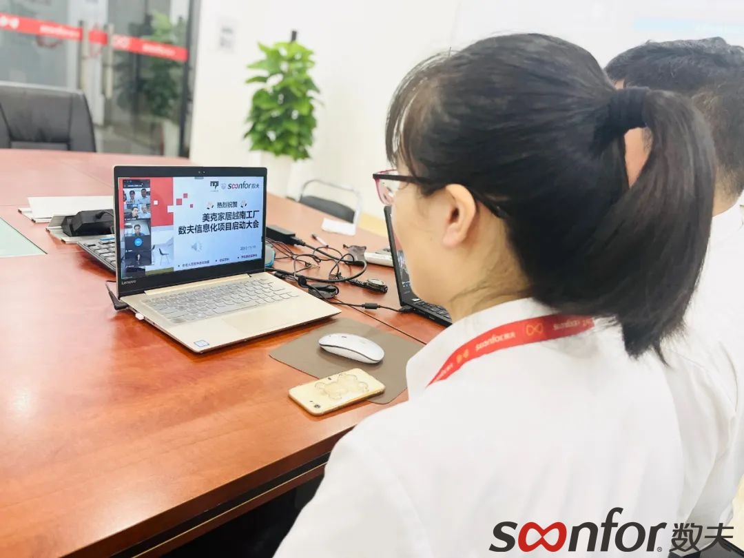 數(shù)夫項目副組長付俊丹遠程參會