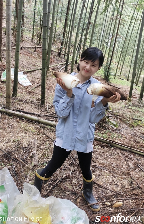 聶蕓霞（實施中心）