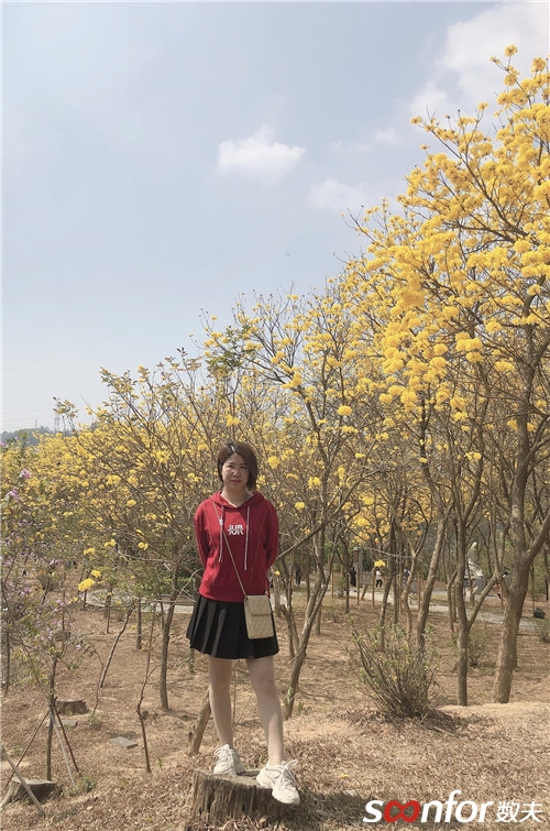 吳麗娟（開發中心）