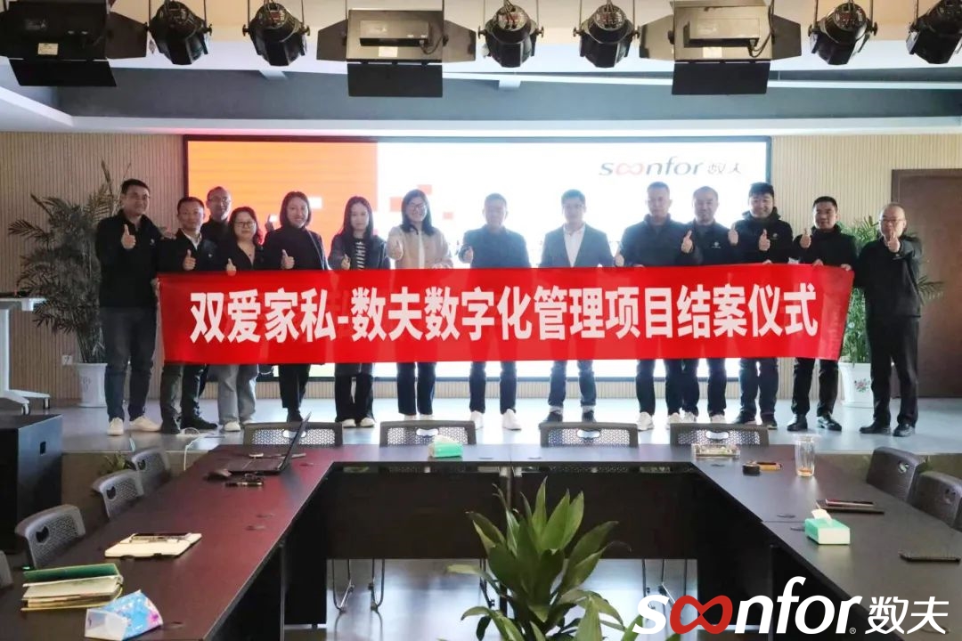 雙愛家私數(shù)字化項目圓滿結(jié)案 ！實現(xiàn)企業(yè)全流程數(shù)字化高效協(xié)同