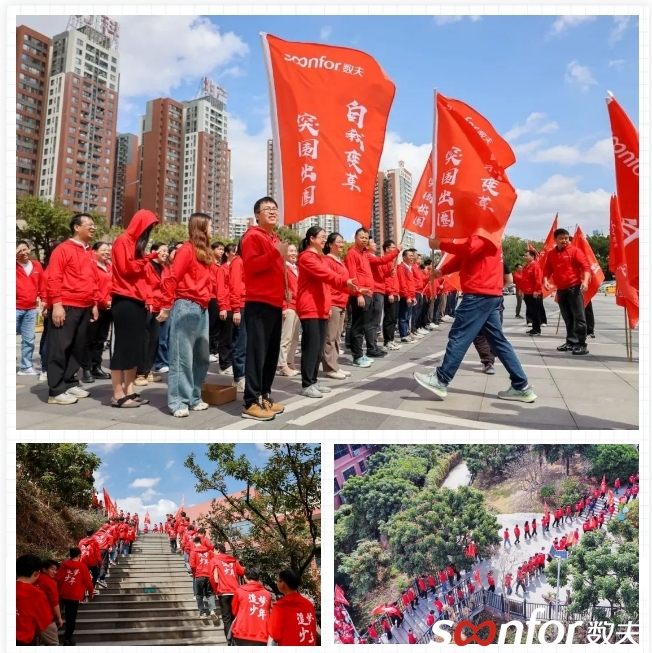 自我變革，突圍出圈！數(shù)夫軟件2024新春團建暨春茗會圓滿舉辦！