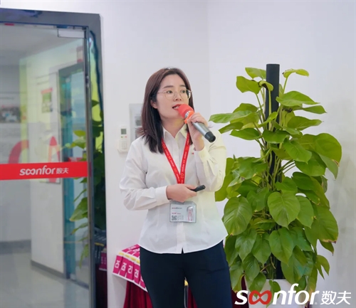數(shù)夫軟件資深顧問馮沙娜