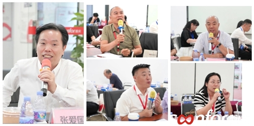 數(shù)夫軟件資深顧問馮沙娜