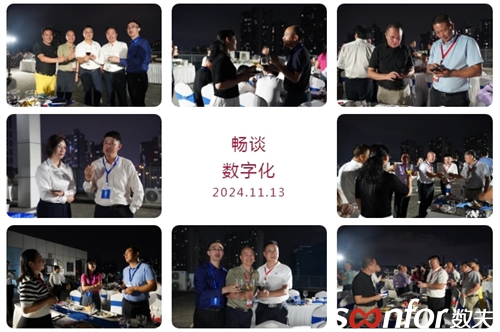 數(shù)夫軟件資深顧問馮沙娜
