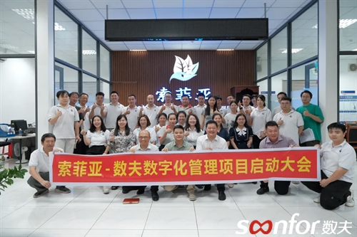 越南索菲亞-數夫數字化項目正式啟動！